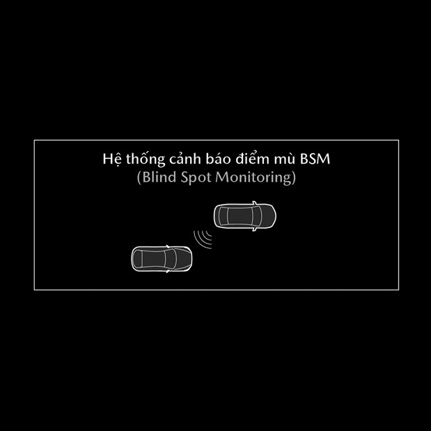 bsm